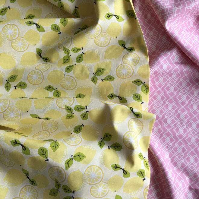2x 80 cm Baumwollstoff Fruits II zB für Bag for Good – Bild 2